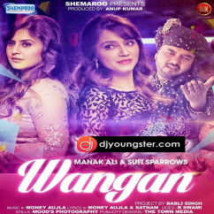 Sufi Sparrows released his/her new Punjabi song Wangan