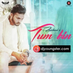 Zeeshan released his/her new Hindi song Tum Bin 