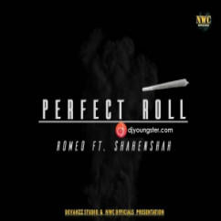 Romeo released his/her new Punjabi song Perfect Roll