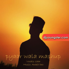 Zaar released his/her new Punjabi song Pyar Wala Mashup