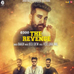 Baaghi released his/her new Punjabi song 0300 The Revenge