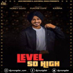 Honey Sidhu released his/her new Punjabi song Level So High