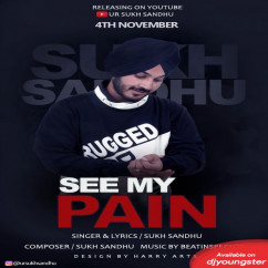 Sukh Sandhu released his/her new Punjabi song See My Pain