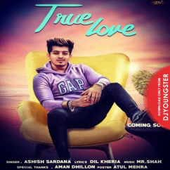 Ashish Sardana released his/her new Punjabi song True Love