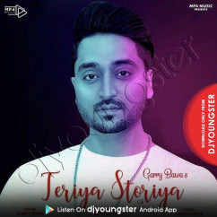 Garry Bawa released his/her new Punjabi song Teriya Storiya