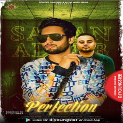 Sajjan Adeeb released his/her new Punjabi song Perfection