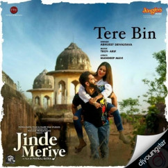 Abhijeet Srivastava released his/her new Punjabi song Tere Bin