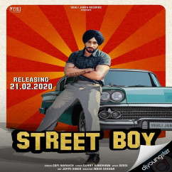 Gopi Waraich released his/her new Punjabi song Street Boy