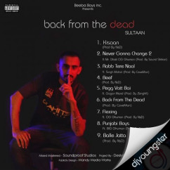 Sultaan released his/her new album song Back From The Dead