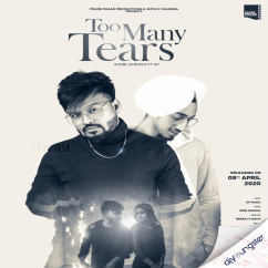 Shobi Sarwan released his/her new Punjabi song Too Many Tears