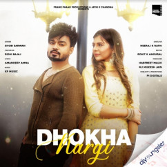 Shobi Sarwan released his/her new Punjabi song Dhokha Kargi