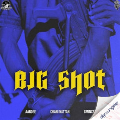 Aardee released his/her new Punjabi song Big Shot