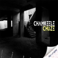 Dino James released his/her new Punjabi song Chamkeele Chooje
