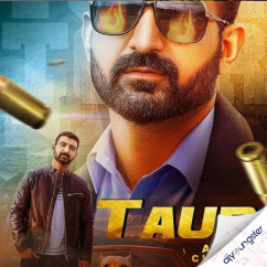Anter Chahal released his/her new Punjabi song Taur