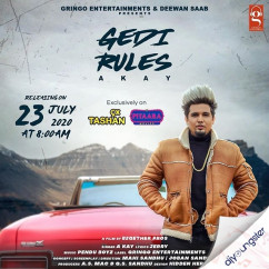 AKay released his/her new Punjabi song Gedi Rules