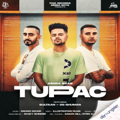 Sultaan released his/her new Punjabi song Tupac ft OG Ghuman