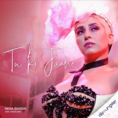 Neha Bhasin released his/her new Punjabi song Tu Ki Jaane