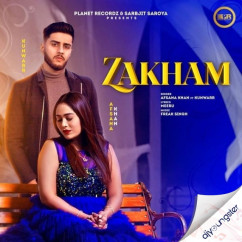 Zakham song download by Afsana Khan