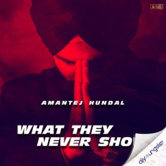 What They Never Show song Lyrics by Amantej Hundal