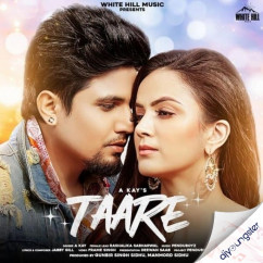 AKay released his/her new Punjabi song Taare