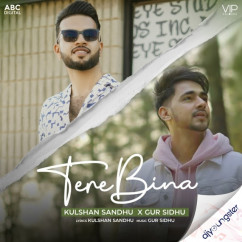 Gur Sidhu released his/her new Punjabi song Tere Bina