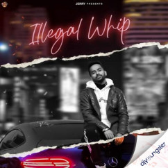 Illegal Whip Jerry song download