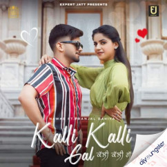Nawab released his/her new Punjabi song Kalli Kalli Gal