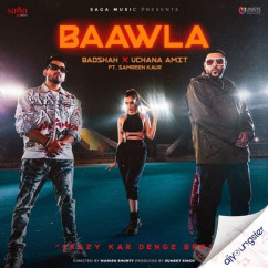 Badshah released his/her new Punjabi song Baawla