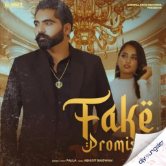 Fake Promises song Lyrics by Palla