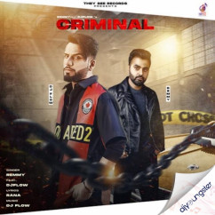 DJ Flow released his/her new Punjabi song Criminal x Remmy