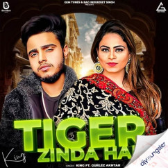 King released his/her new Punjabi song Tiger Zinda Hai x Gurlez Akhtar