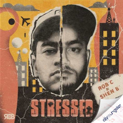 Rob C released his/her new Punjabi song Stressed