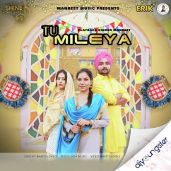 Manreet released his/her new Punjabi song Tu Mileya