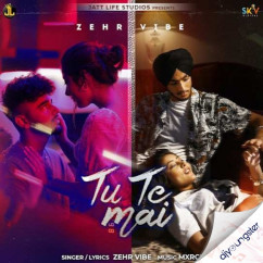 Zehr Vibe released his/her new Punjabi song Tu Te Mai