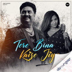 Tere Bina Kaise Jiyu song Lyrics by Kumar Sanu