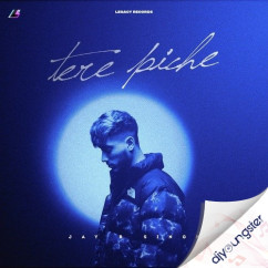 Tere Piche song download by Jayb Singh