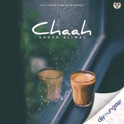 Angad Aliwal released his/her new Punjabi song Chaah