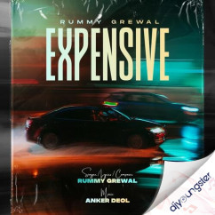 Expensive song Lyrics by Rummy Grewal