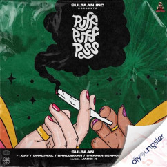 Sultaan released his/her new Punjabi song Puff Puff Pass