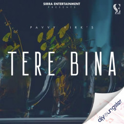 Pavvy Virk released his/her new Punjabi song Tere Bina