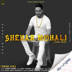 Garry Bawa released his/her new Punjabi song Shehar Mohli