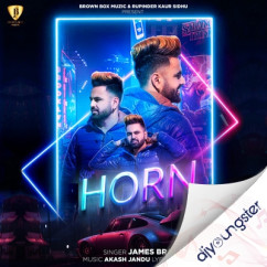 James Brar released his/her new Punjabi song Horn