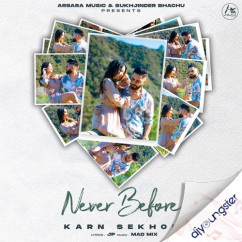 Never Before song Lyrics by Karn Sekhon