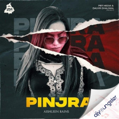 Aishleen Bains released his/her new Punjabi song Pinjra