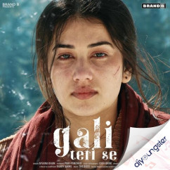 Gali Teri Se song download by Afsana Khan