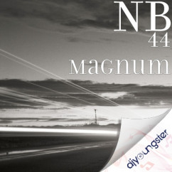 Nb released his/her new Punjabi song 44 Magnum