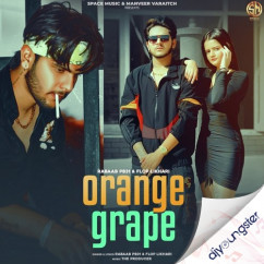 Rabaab Pb31 released his/her new Punjabi song Orange Grape