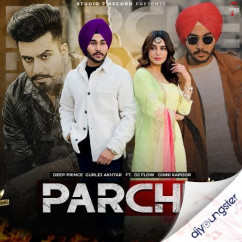 Dj Flow released his/her new Punjabi song Parche