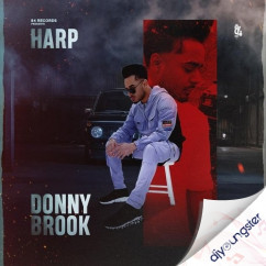 Harp released his/her new Punjabi song Donnybrook
