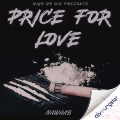 Nawaab released his/her new Punjabi song Price For Love